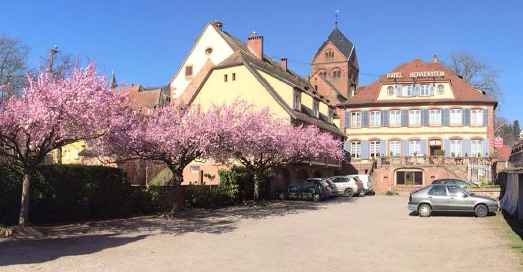 Hotel Du Herrenstein Neuwiller-les-Saverne Ngoại thất bức ảnh