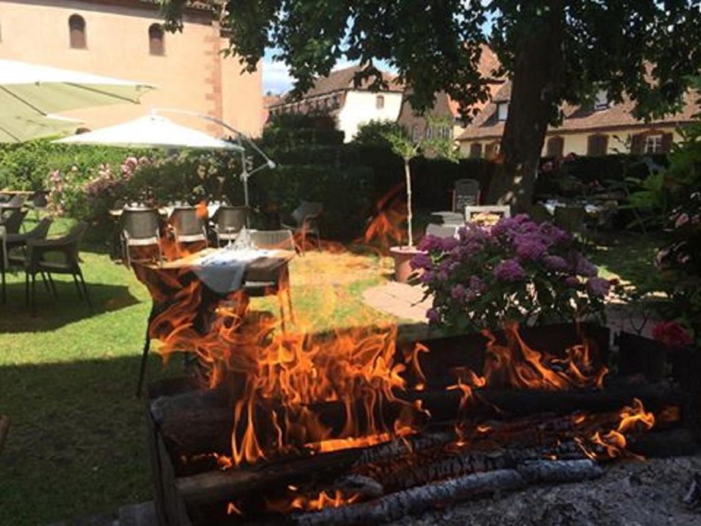 Hotel Du Herrenstein Neuwiller-les-Saverne Ngoại thất bức ảnh